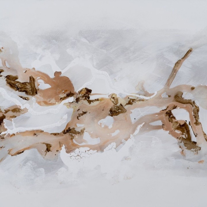 Carte postale microlorge