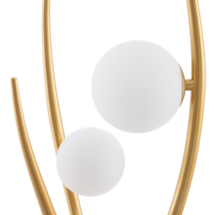 Carte postale microlorge