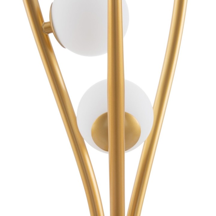 Carte postale microlorge