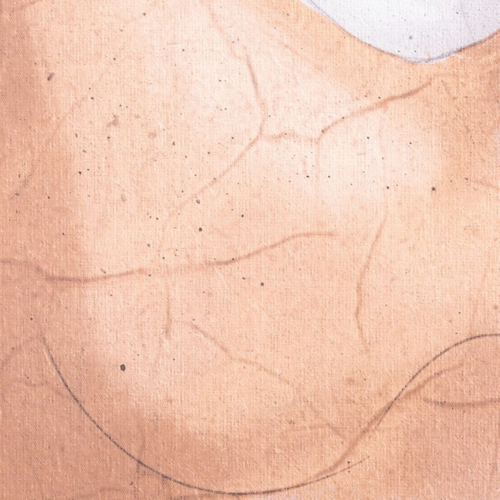 Carte postale microlorge