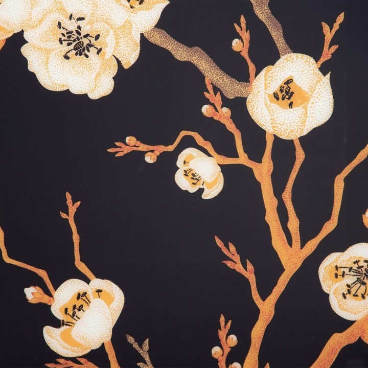 Carte postale microlorge