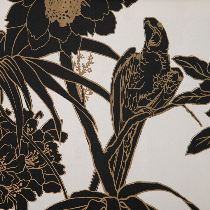 Carte postale microlorge