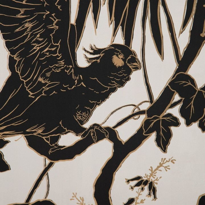 Carte postale microlorge