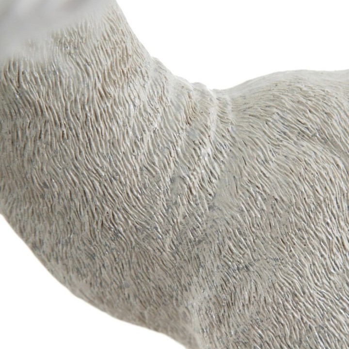 Carte postale microlorge