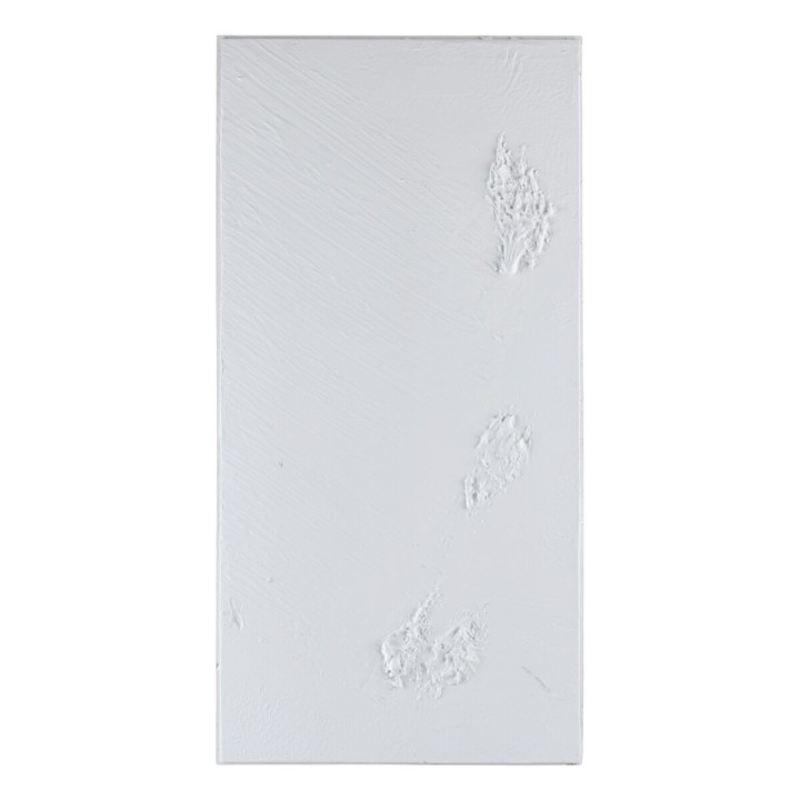 image imprimée ou numérique