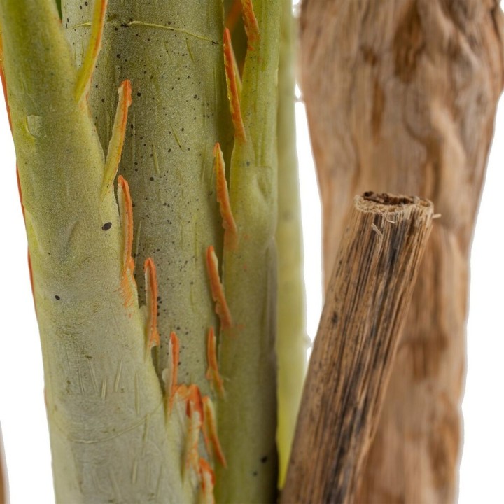 Carte postale microlorge