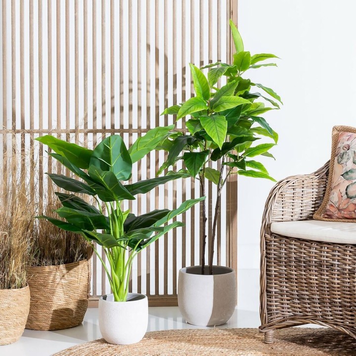 image imprimée ou numérique