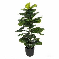 Plante décorative 33 x 35 x...