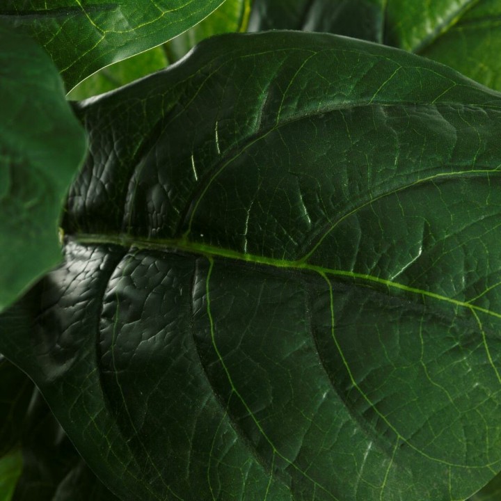 image imprimée ou numérique