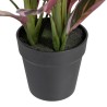 Plante décorative 44 x 39 x 48 cm Rose Vert PVC