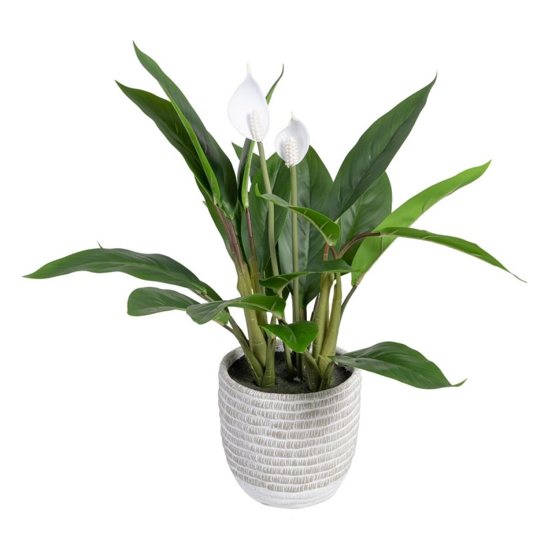 Plante décorative 40 x 41 x 48 cm Vert PVC