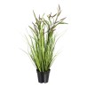 Plante décorative 45 x 40 x 74 cm Vert PVC