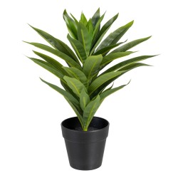 Plante décorative Vert PVC Lis