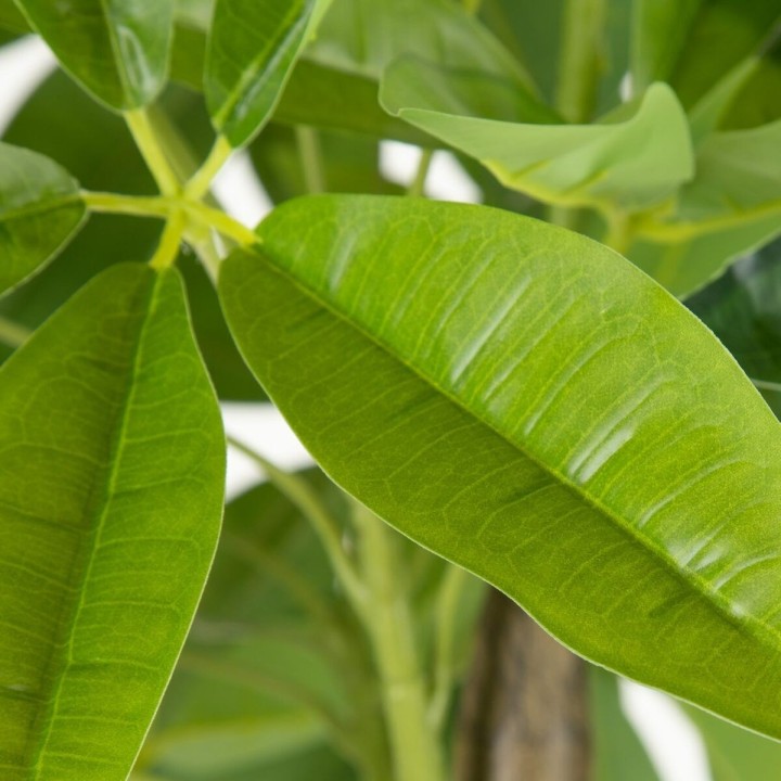 image imprimée ou numérique