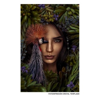 Carte postale microlorge