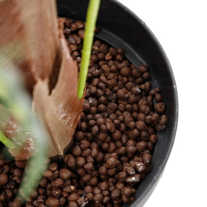 image imprimée ou numérique