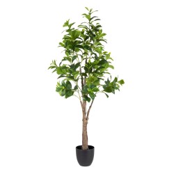 Plante décorative Vert PVC...