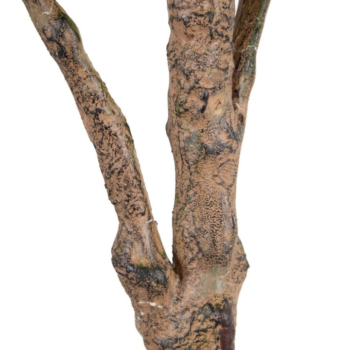 image imprimée ou numérique