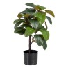 Plante décorative 45 x 47 x 64 cm Vert Caoutchouc PVC