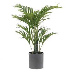 Plante décorative 35 x 35 x...