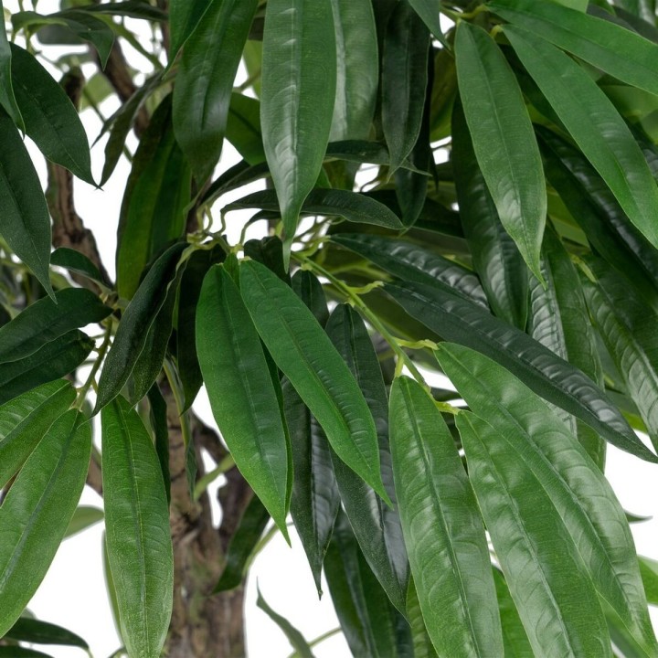 image imprimée ou numérique