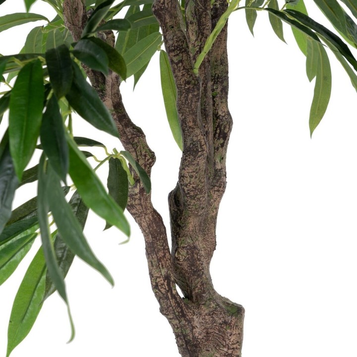 image imprimée ou numérique