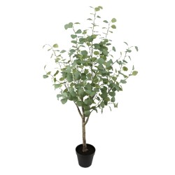 Plante décorative Vert