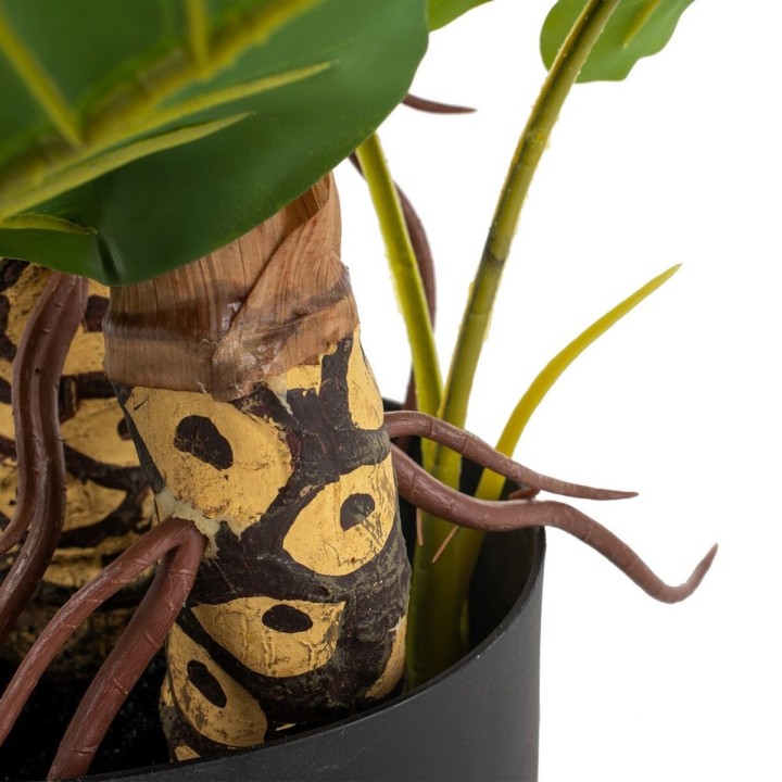 Carte postale microlorge