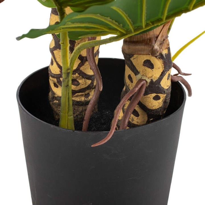 Carte postale microlorge