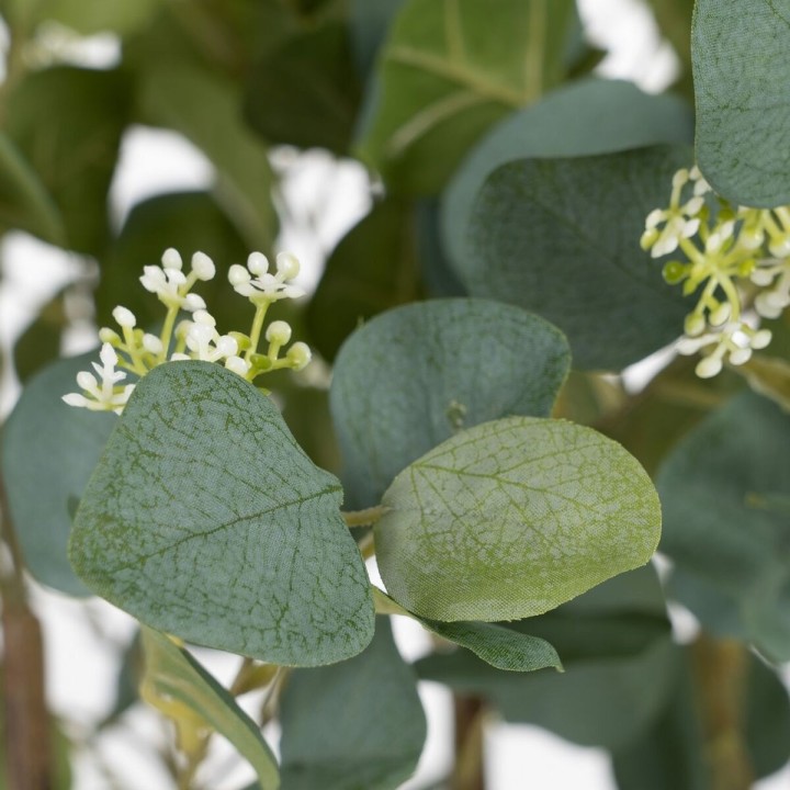 image imprimée ou numérique