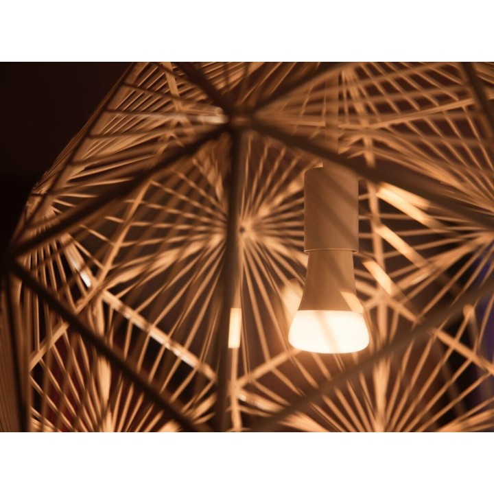 Carte postale microlorge