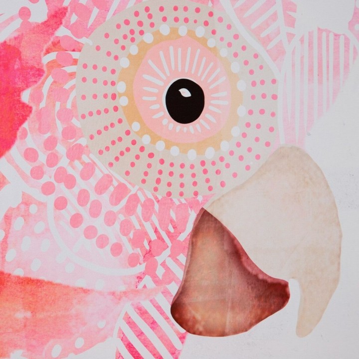 Carte postale microlorge