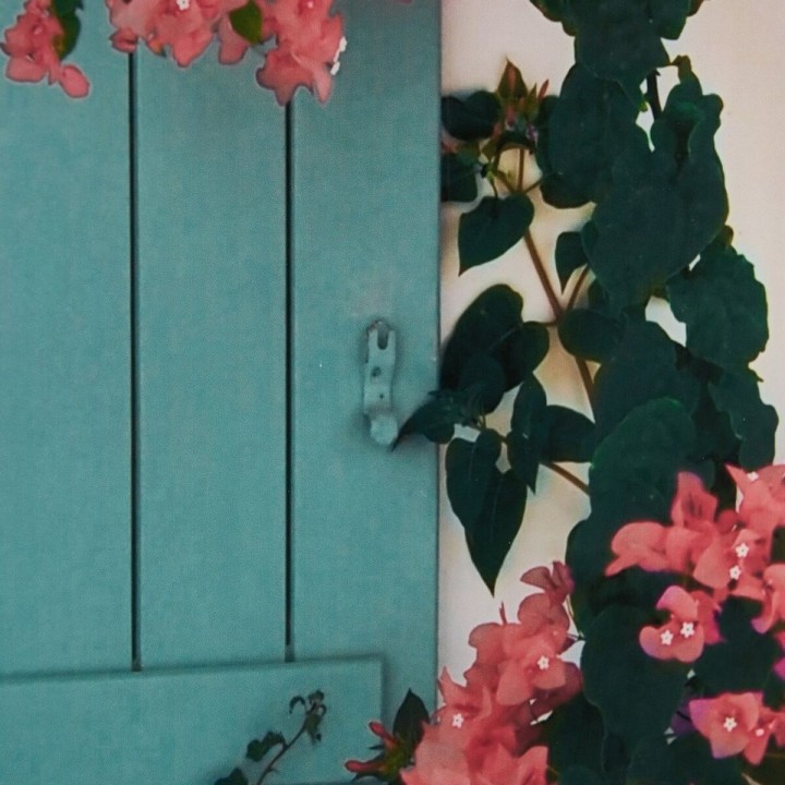 image imprimée ou numérique