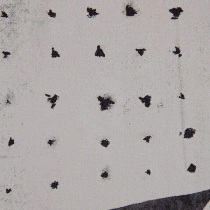 Carte postale microlorge