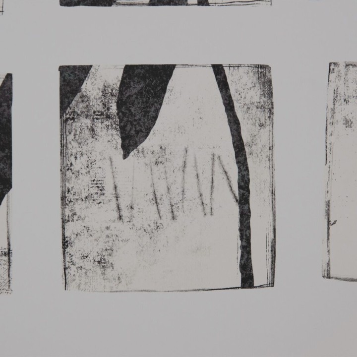 Carte postale microlorge