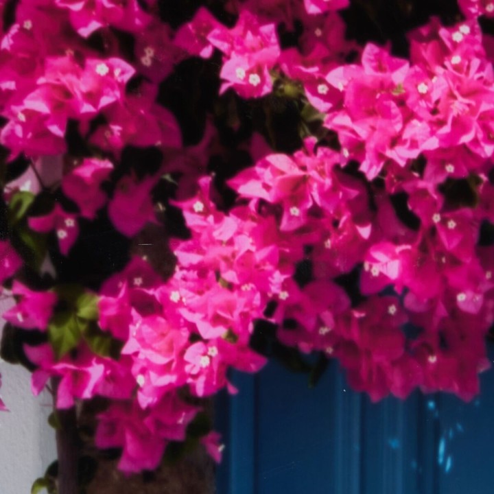 Carte postale microlorge