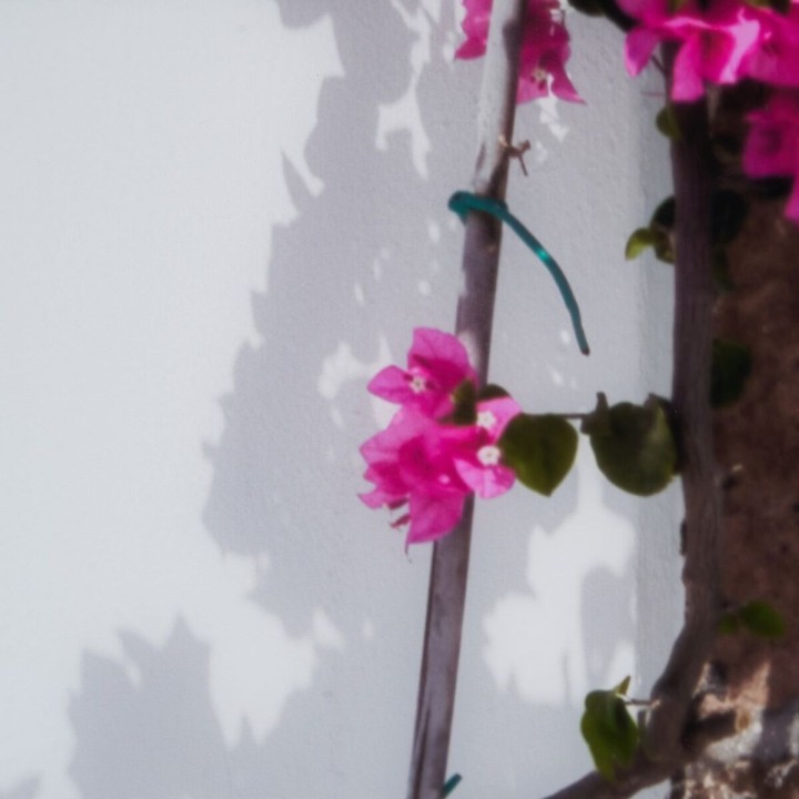 Carte postale microlorge