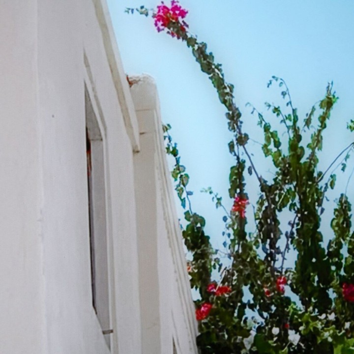 Carte postale microlorge