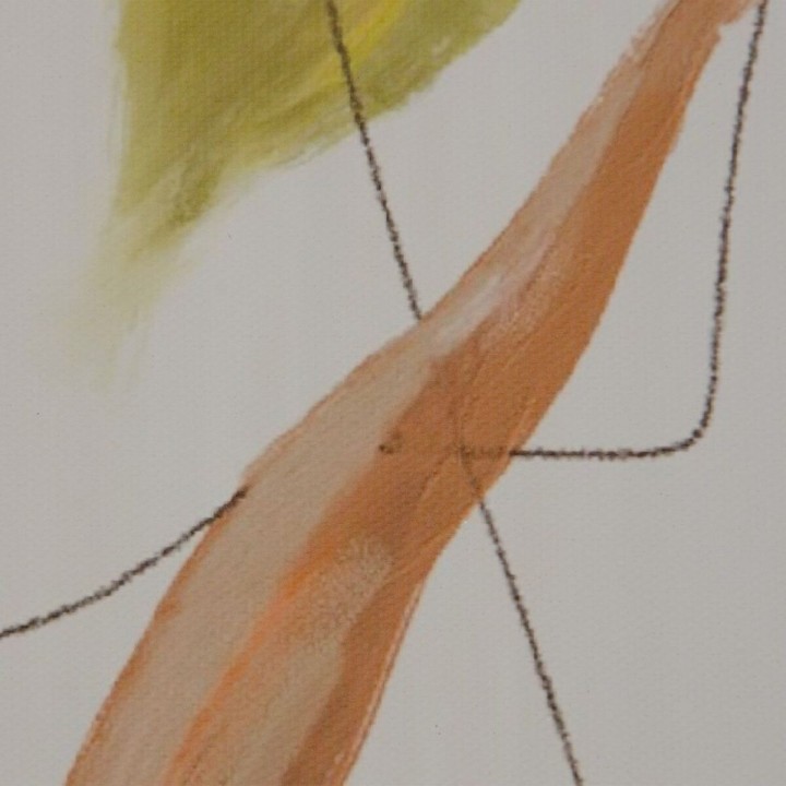 Carte postale microlorge