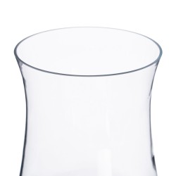 Vase 16 x 13 x 30 cm Verre Transparent