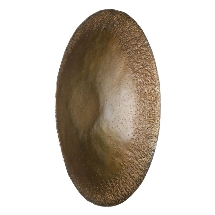 image imprimée ou numérique