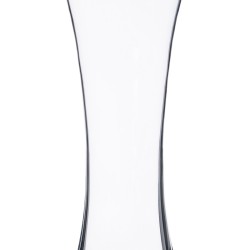 Vase 15 x 11 x 35,5 cm Verre Transparent