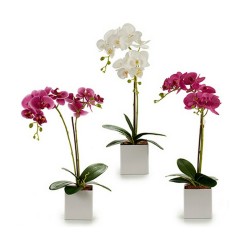 Plante décorative Orchidée 18 x 47 x 14 cm Plastique (6 Unités)