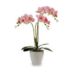 Plante décorative Orchidée Plastique 20 x 49 x 26 cm (4 Unités)