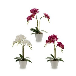 Plante décorative Orchidée Plastique 20 x 49 x 26 cm (4 Unités)