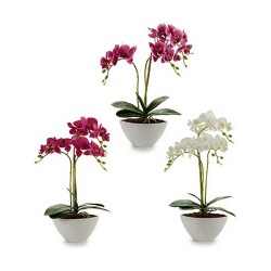 Plante décorative Orchidée 16 x 49 x 28 cm Plastique (4 Unités)