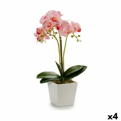 Plante décorative Orchidée...