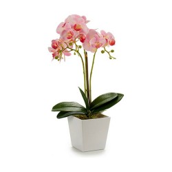 Plante décorative Orchidée 20 x 47 x 33 cm Plastique (4 Unités)