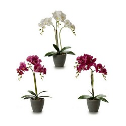 Plante décorative Orchidée 19 x 48 x 24 cm Plastique (4 Unités)