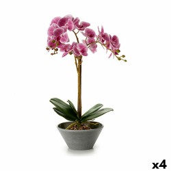 Plante décorative Orchidée...